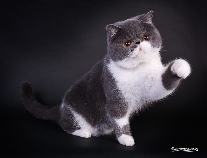 71-D - 19077 Sülstorf.jpg